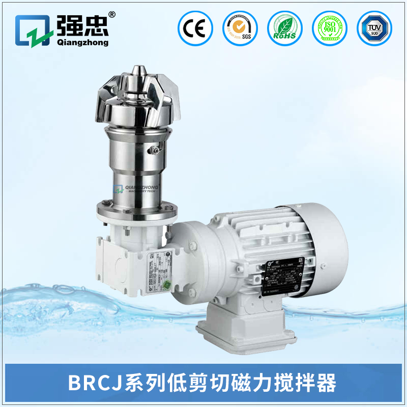 BRCJ九州体育（中国）有限责任公司低剪切磁力搅拌器